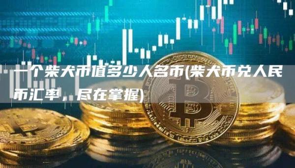 一个柴犬币值多少人名币 - 柴犬币兑人民币汇率，尽在掌握